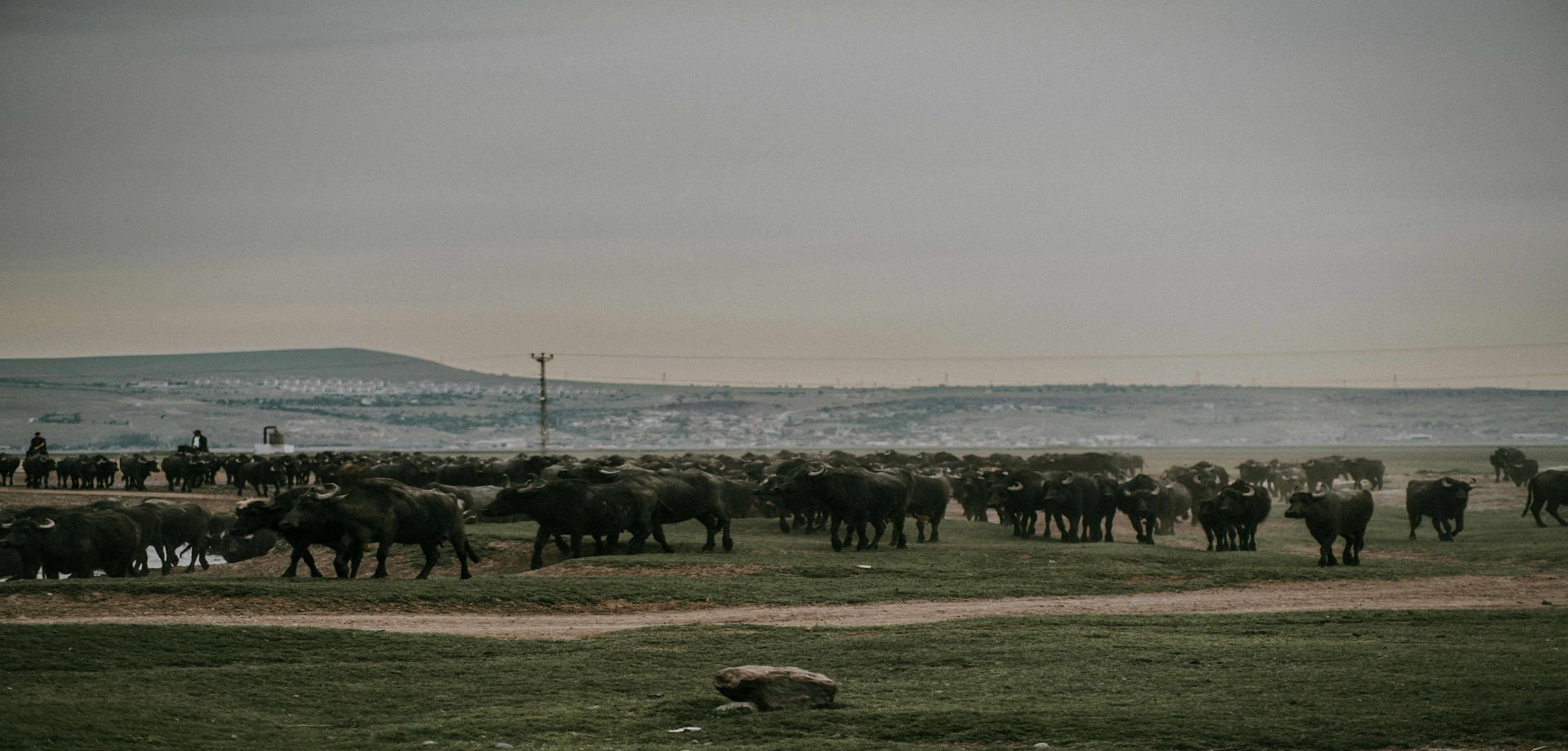 BG