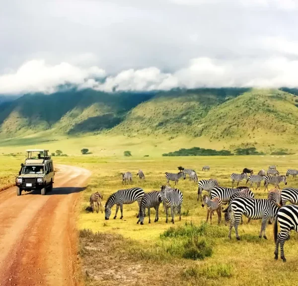 tarangire